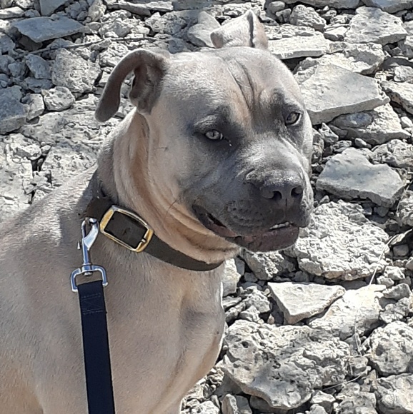 Meet your Posher, Sean - Picture 1 of 1